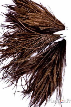 Ciondolo struzzo - 15-20 cm - marrone